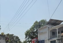 प्राचार्य के लगातार गलत रवैय्या पर उठे सवाल, एबीवीपी ने जलाया प्रिंसिपल सुचित्रा गुप्ता का पुतला