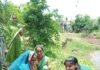 राशि वेलफेयर सोसाइटी ने विचारपुर में किया वृक्षारोपण, हरित ग्राम का लिया संकल्प