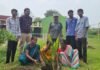 नवोदय विद्यालय में पूर्व विद्यार्थियों ने लगाए 80 नारियल के पौधे