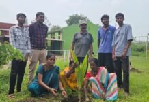 नवोदय विद्यालय में पूर्व विद्यार्थियों ने लगाए 80 नारियल के पौधे