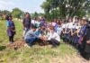 नवोदय विद्यालय परिसर में लगाए 220 नारियल के पौधे, पूर्व छात्रों ने निभाई भागीदारी