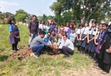 नवोदय विद्यालय परिसर में लगाए 220 नारियल के पौधे, पूर्व छात्रों ने निभाई भागीदारी