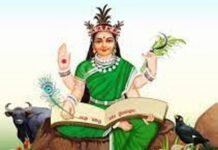 छत्तीसगढ़ की वर्षगांठ की तोमर ने दी बधाई